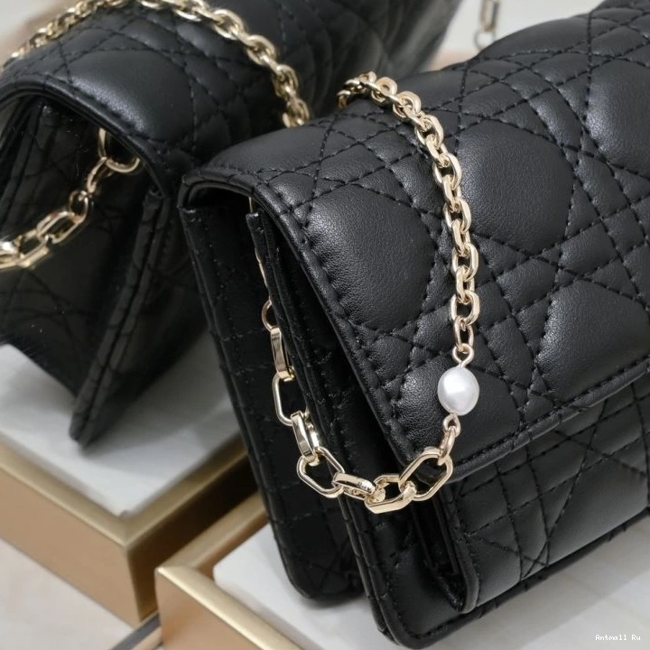 85543 Bags Christian SunProtective Satchel Dior 0705